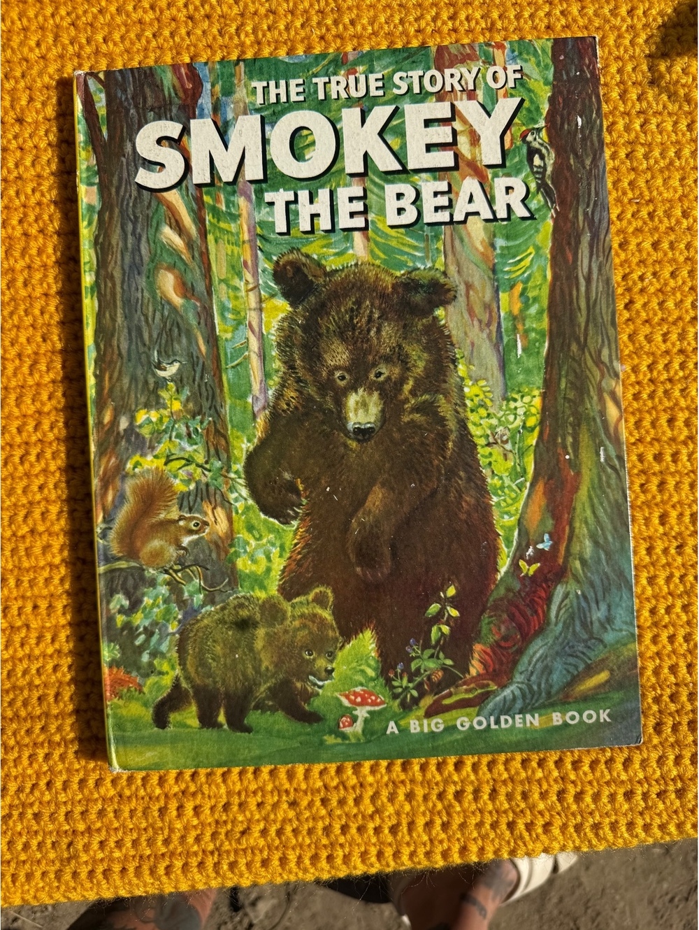 Vintage Copy of The True Story of Smokey the Bear
